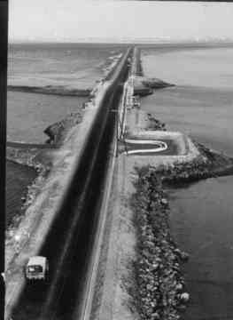 ���� ������ ��� ��� ����